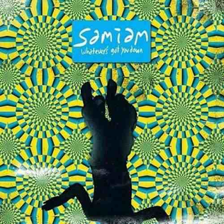 <i>Whatevers Got You Down</i> 2006 studio album by Samiam