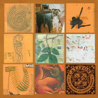 <i>All My Friends Are Funeral Singers</i> 2009 studio album by Califone