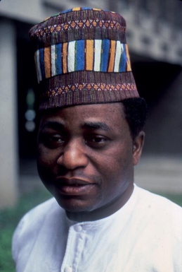 <span class="mw-page-title-main">Samuel Okoye</span> Nigerian academic