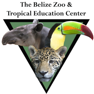 <span class="mw-page-title-main">Belize Zoo</span> Zoo in Western Highway, Belize