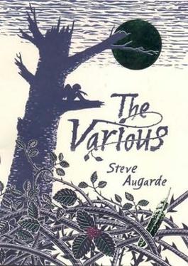 <i>The Various</i> 2003 childrens fantasy novel by Steve Augarde