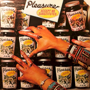 <i>Accept No Substitutes</i> 1976 studio album by Pleasure