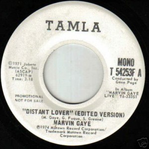 <span class="mw-page-title-main">Distant Lover</span>