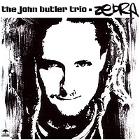 <span class="mw-page-title-main">Zebra (The John Butler Trio song)</span> Song