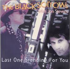Last One Standing for You 1994 single by Black Sorrows and Jon Stevens