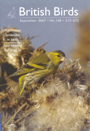 File:BBsept2007cover.jpg