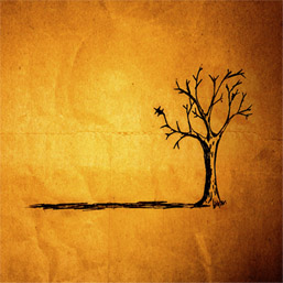 <i>Fall</i> (Jon Foreman EP) 2007 EP by Jon Foreman