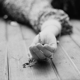 <span class="mw-page-title-main">Sky Full of Song</span> 2018 single by Florence and the Machine