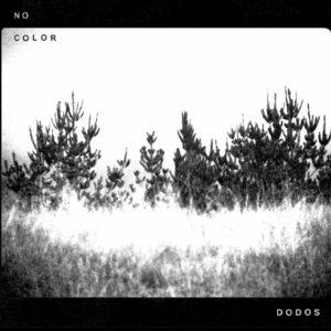 <i>No Color</i> 2011 studio album by The Dodos