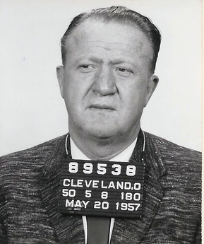 <span class="mw-page-title-main">Shondor Birns</span> American gangster (1907–1975)