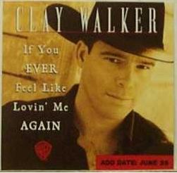 If You Ever Feel Like Lovin Me Again 2001 single by Clay Walker