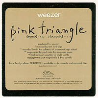 Pink Triangle (song)