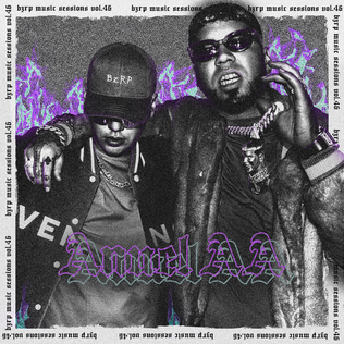 <span class="mw-page-title-main">Anuel AA: Bzrp Music Sessions, Vol. 46</span> 2021 single by Bizarrap and Anuel AA