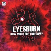 <i>How Much for Freedom?</i> 2005 studio album by Eyesburn