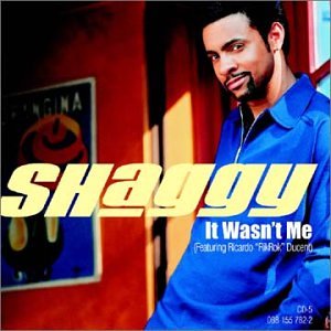 SHAGGY／IT WASN'T ME | mdh.com.sa