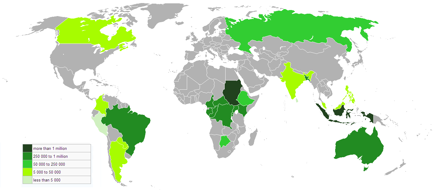 Home - Survival International