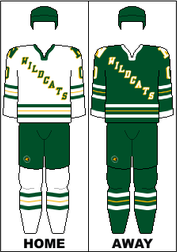 Northern Michigan Wildcats mens ice hockey