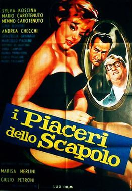 File:I piaceri dello scapolo poster.jpg