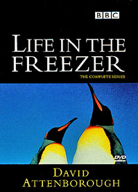 <i>Life in the Freezer</i> BBC nature documentary series