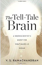 The Tell Tale Brain cover.jpg 