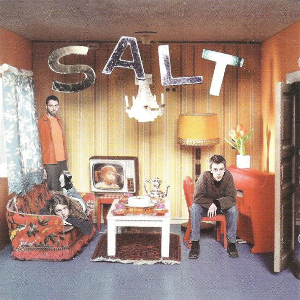 <i>Auscultate</i> (album) 1995 studio album by Salt