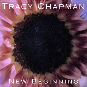 <i>New Beginning</i> (Tracy Chapman album) 1995 studio album by Tracy Chapman