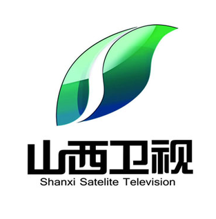 File:Shanxi Television.png