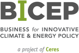 Business for Innovative Climate and Energy Policy