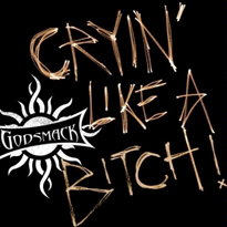 Cryin Like a Bitch 2010 single by Godsmack