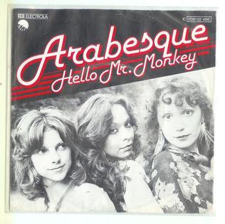 <span class="mw-page-title-main">Hello Mr. Monkey</span> 1977 single by Arabesque