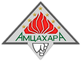 <span class="mw-page-title-main">Amtsakhara</span> Political party in Abkhazia