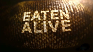 <i>Eaten Alive</i> (TV program) American nature documentary special TV program