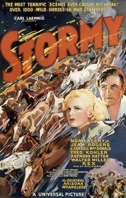 File:Stormy us-poster 1935.jpg