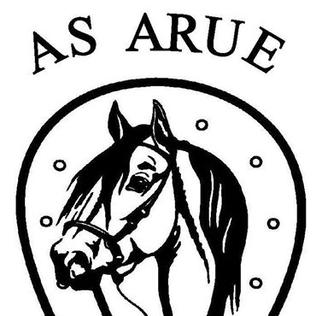 <span class="mw-page-title-main">A.S. Arue</span> Tahitian association football club