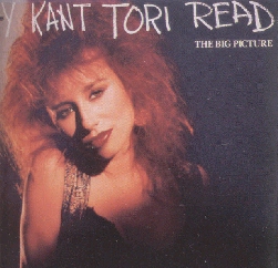 <span class="mw-page-title-main">The Big Picture (song)</span> 1988 single by Y Kant Tori Read