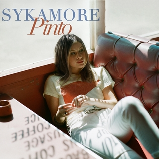 <i>Pinto</i> (album) 2022 studio album by Sykamore