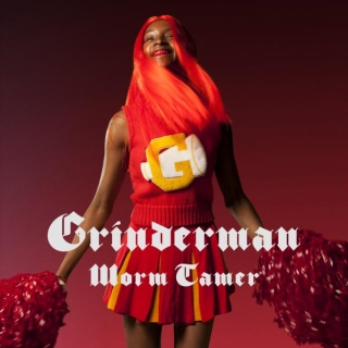 Worm Tamer 2010 single by Grinderman