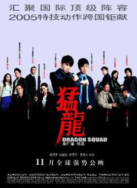 <i>Dragon Squad</i> 2005 Hong Kong film