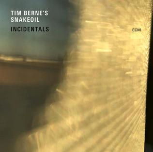 <i>Incidentals</i> (album) 2017 studio album by Tim Bernes Snakeoil