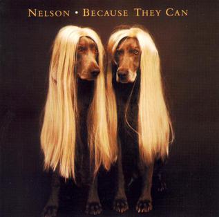 <i>Because They Can</i> 1995 studio album by Nelson
