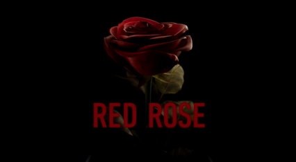 Rose - Wikipedia