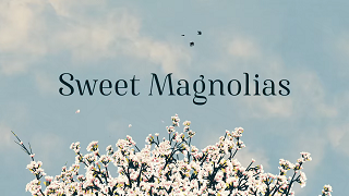 File:Sweet Magnolias Title Card.png