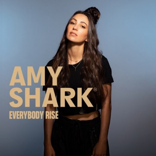 <span class="mw-page-title-main">Everybody Rise</span> 2020 single by Amy Shark