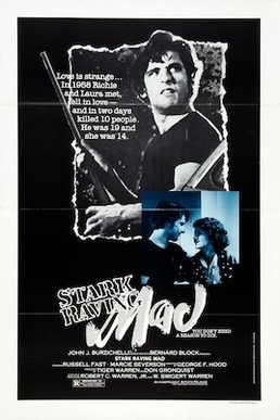 <i>Stark Raving Mad</i> (1981 film) 1981 American film
