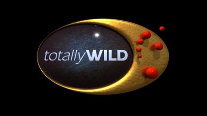 File:Totally Wild 2012 Logo.jpg