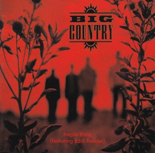 <span class="mw-page-title-main">Fragile Thing</span> 1999 single by Big Country featuring Eddi Reader