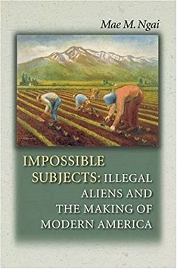 <i>Impossible Subjects</i> 2004 nonfiction book by Mae M. Ngai