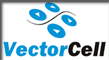 Vectorcell.gif