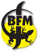 <span class="mw-page-title-main">BFM (brewery)</span>
