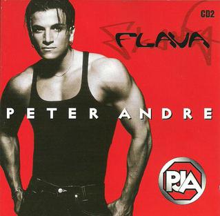 Flava (song) 1996 single by Peter Andre